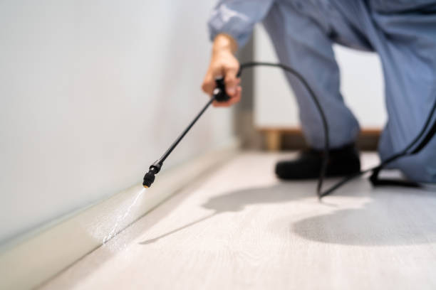 Licensed Pest Control service in Spartanburg, SC - Show Me Pest Control