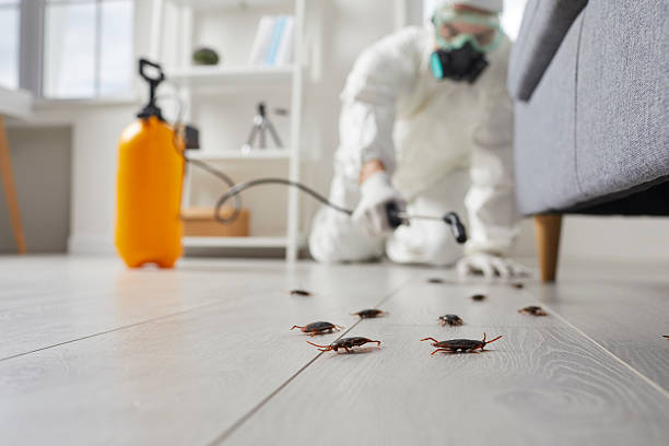 Commercial Kitchen Cockroach Control in Spartanburg